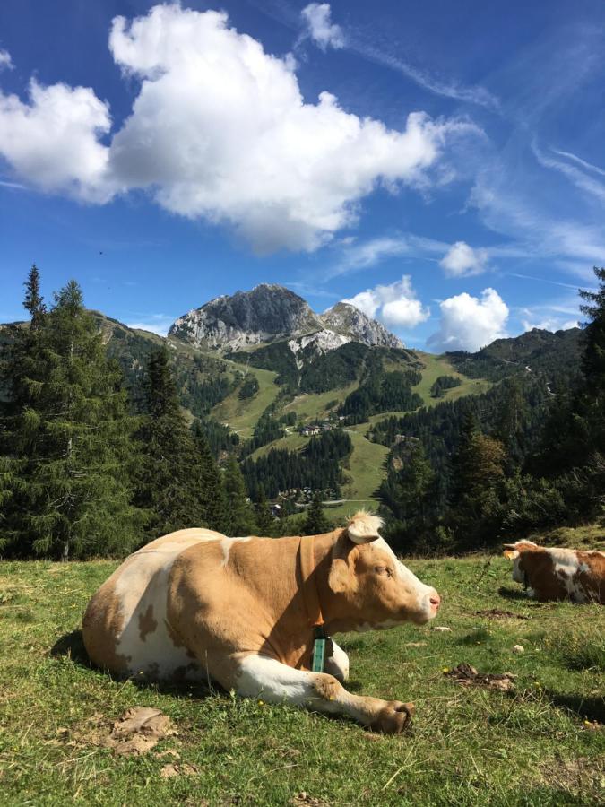 Landhaus Kloosterstube Hermagor-Pressegger See Bagian luar foto