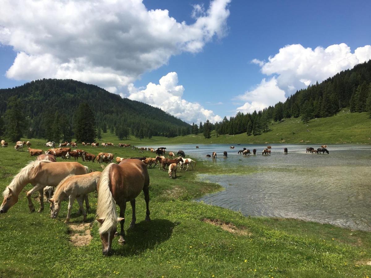 Landhaus Kloosterstube Hermagor-Pressegger See Bagian luar foto